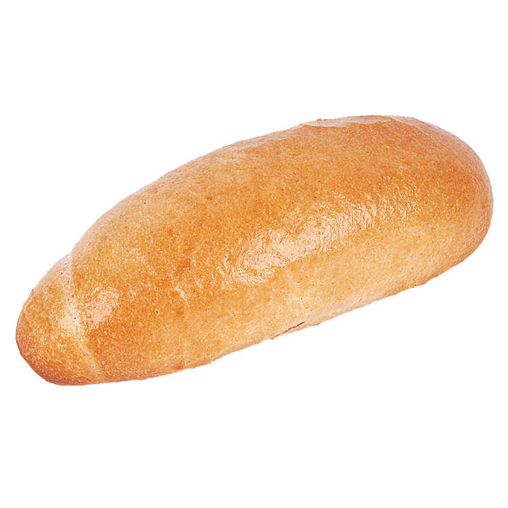 Bio-Panini