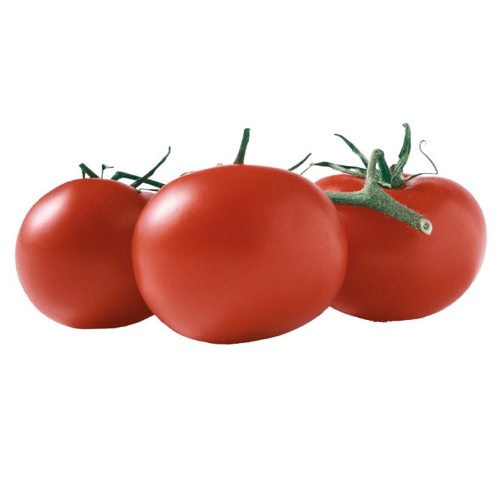 Bio-Salattomaten