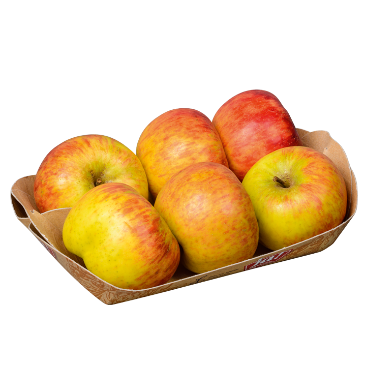 Bio-Äpfel Topaz