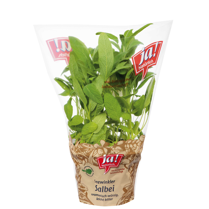 Bio-Salbei