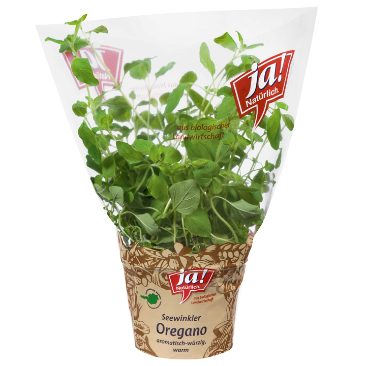 Bio-Oregano