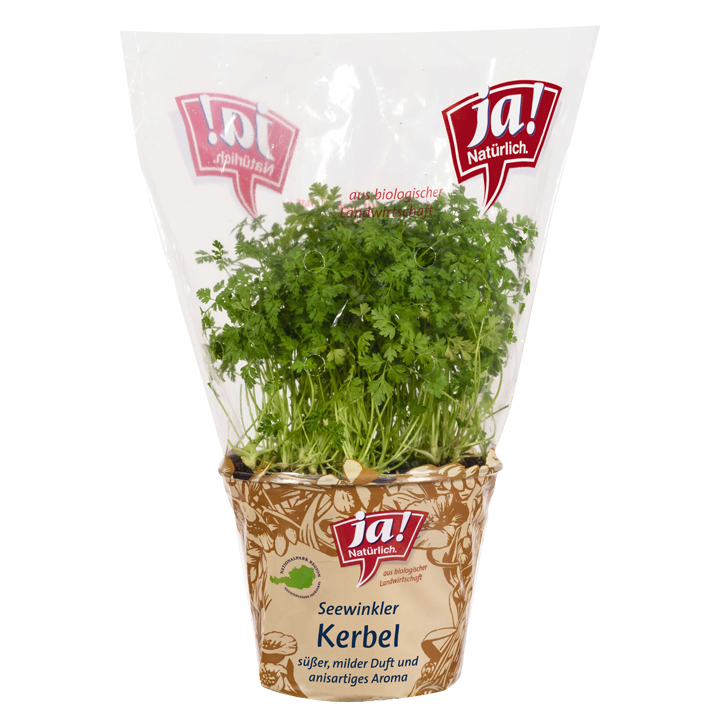 Bio-Kerbel