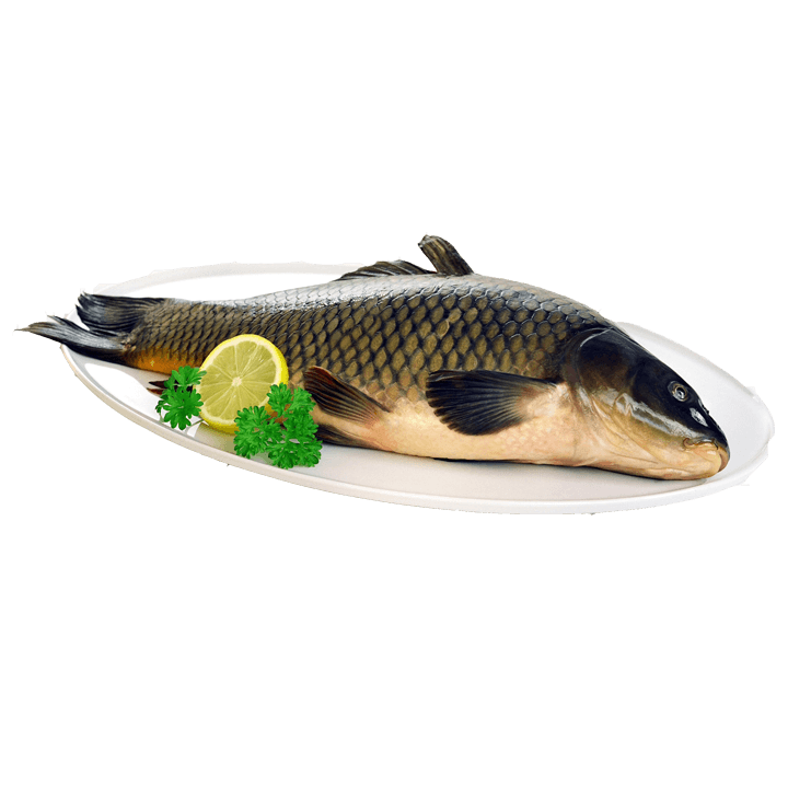 Bio-Waldviertler Karpfenfilet