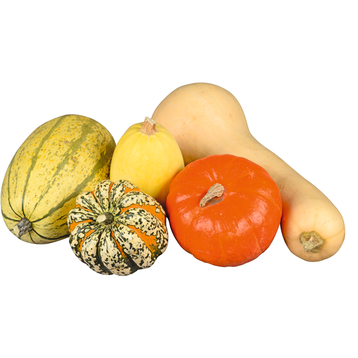 Bio-Kürbismix