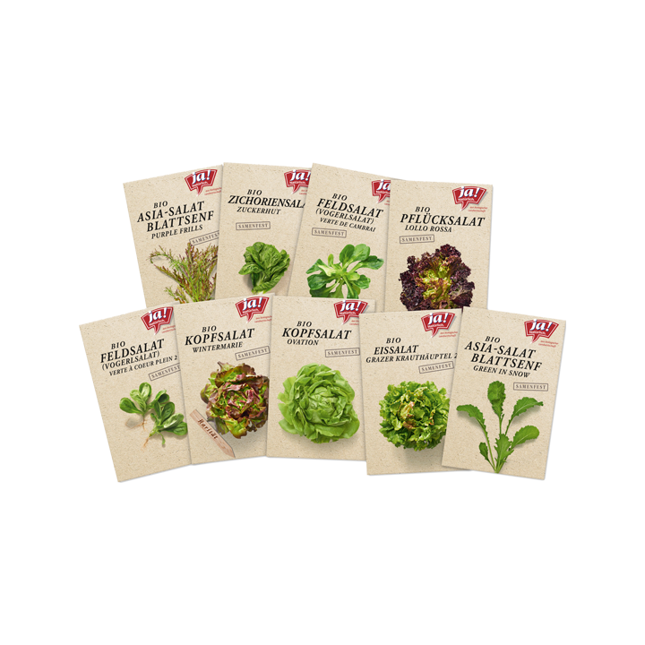 Bio-Salatsamen