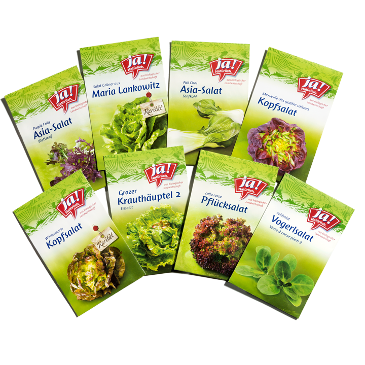 Bio-Salatsamen