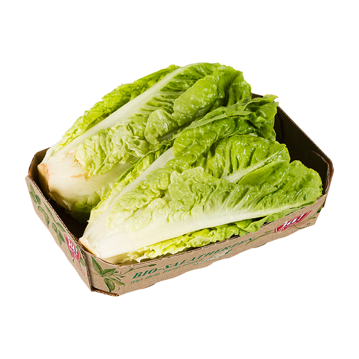 Bio-Salatherzen