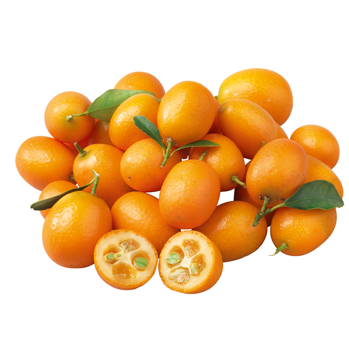 Bio-Kumquat