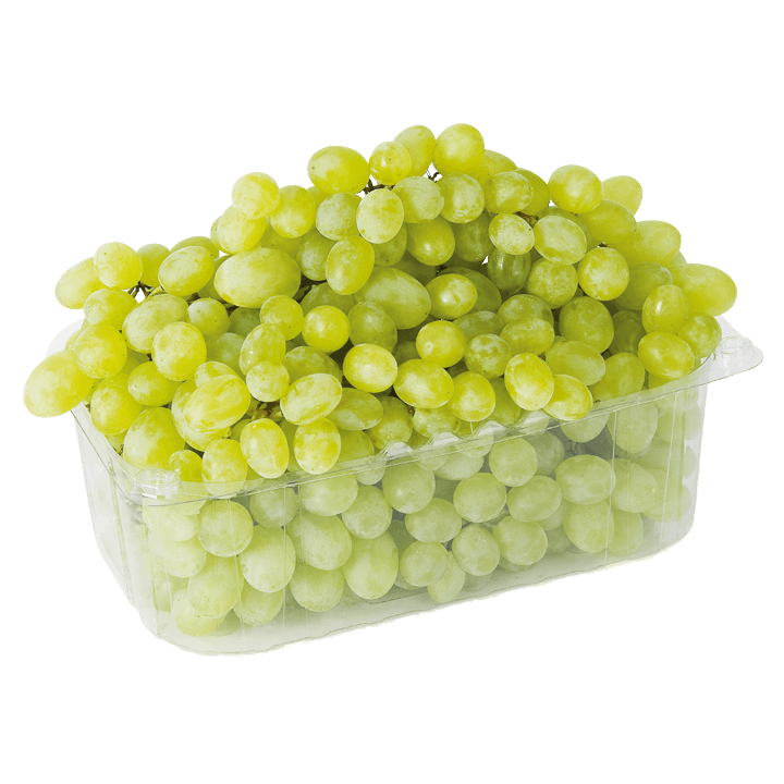 Bio-Sultana Trauben