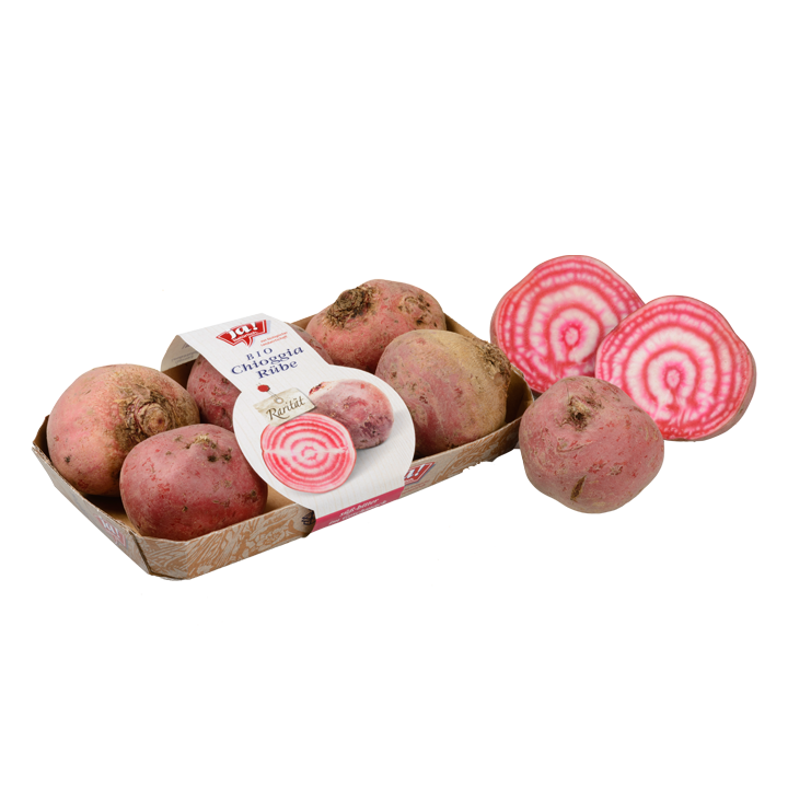 Bio-Rote Rübe „Tonda di Chioggia“