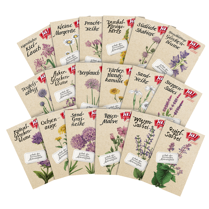 Bio-Wildblumensamen