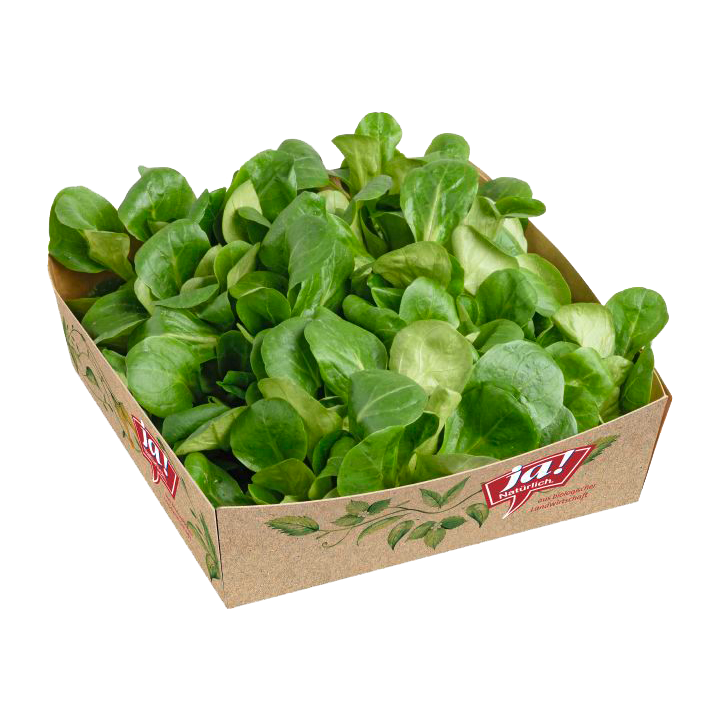 Vogerlsalat Packshot