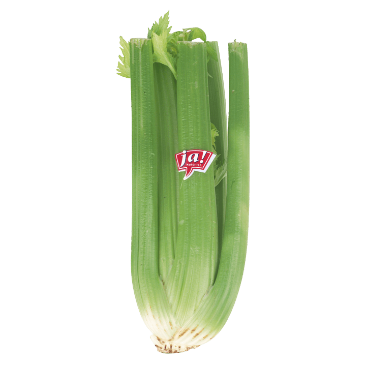 Bio-Stangensellerie