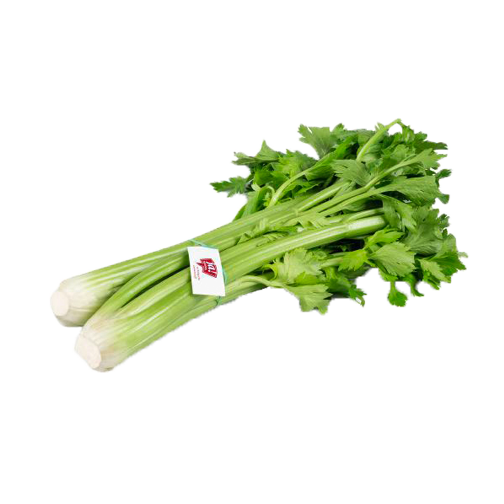 Bio-Stangensellerie