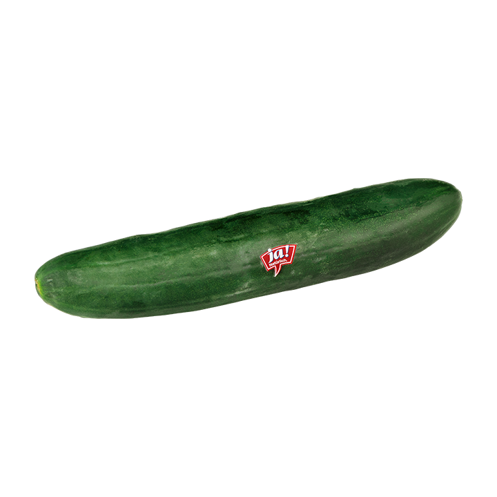 Bio-Feldgurke