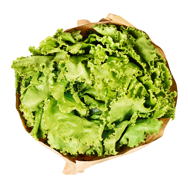 Batavia Salat
