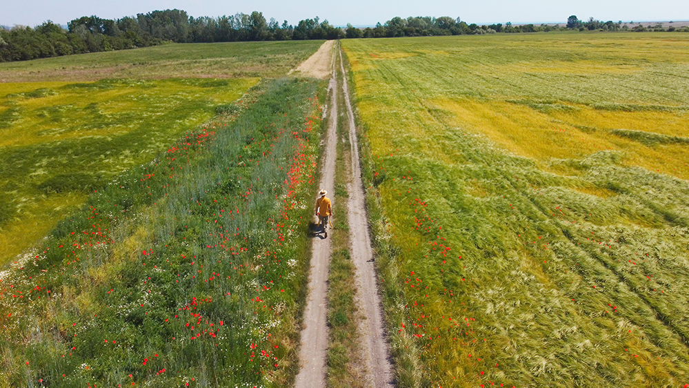 Bauer schiebt auf einem Weg eine Scheibtruhe