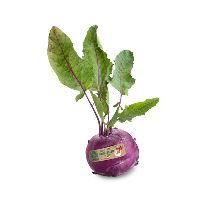 Bio-Kohlrabi violett