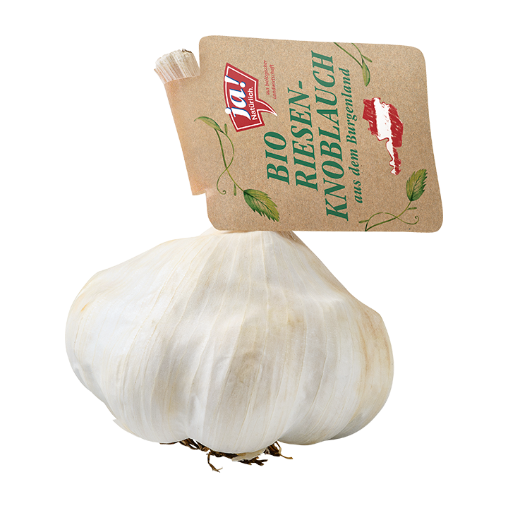Bio Riesenknoblauch