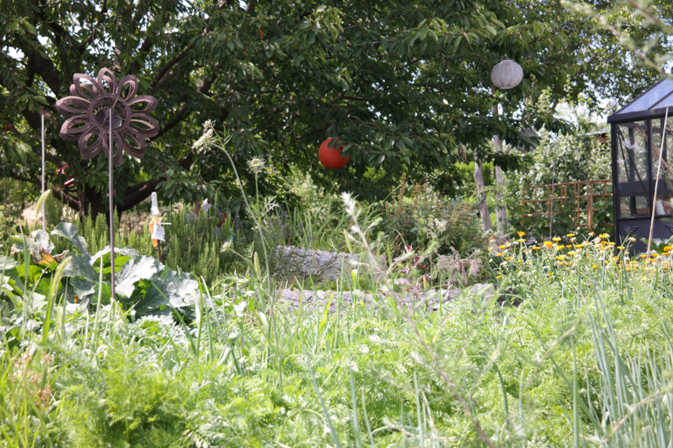 Der bunte Bauerngarten