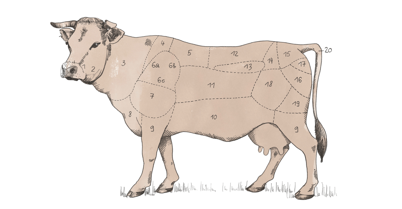 Fleischzerlegungstafel einer Kuh.