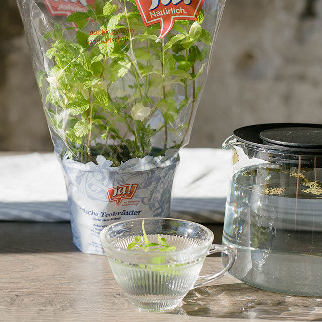 Heiß ersehnt: Bio-Tee aus frischen Bio-Kräutern