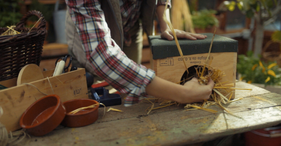 Bio-Garten Tutorial: Wir bauen eine Igelburg