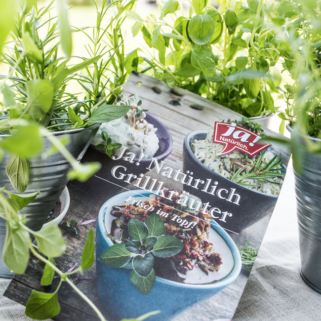 Diese Bio-Grillkräuter brauchst du für einen „grilligen“ Sommer