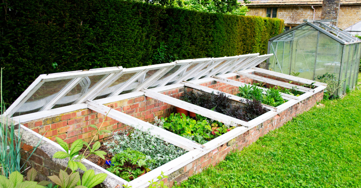 Verschiedene Frühbeete, die geöffnet sind.