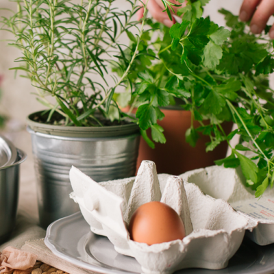 Alle im Rezept genannten Zutaten.