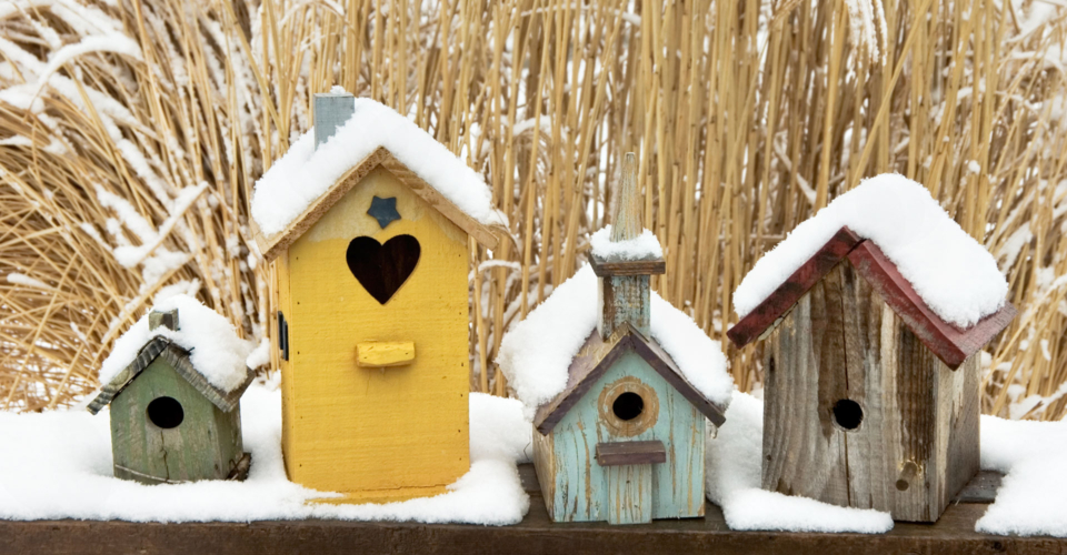 Ein Herz für (Garten-)Tiere im Winter