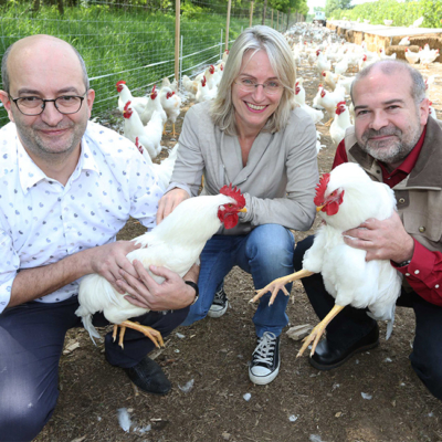 Zwei kniende Männer mit einem Gockel in der Hand und eine kniende Frau in der Mitte, mit vielen Händln im Hintergrund.
