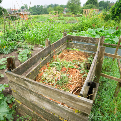 Komposter mit Gartenabfällen.