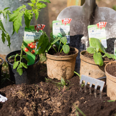 Diverse Ja! Natürlich Bio-Gemüsepflanzen im Topf auf Erde.