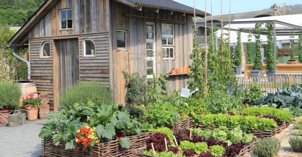 Hoch- und Hügelbeete: Der wiederentdeckte Trend für Stadt- und Landgärten