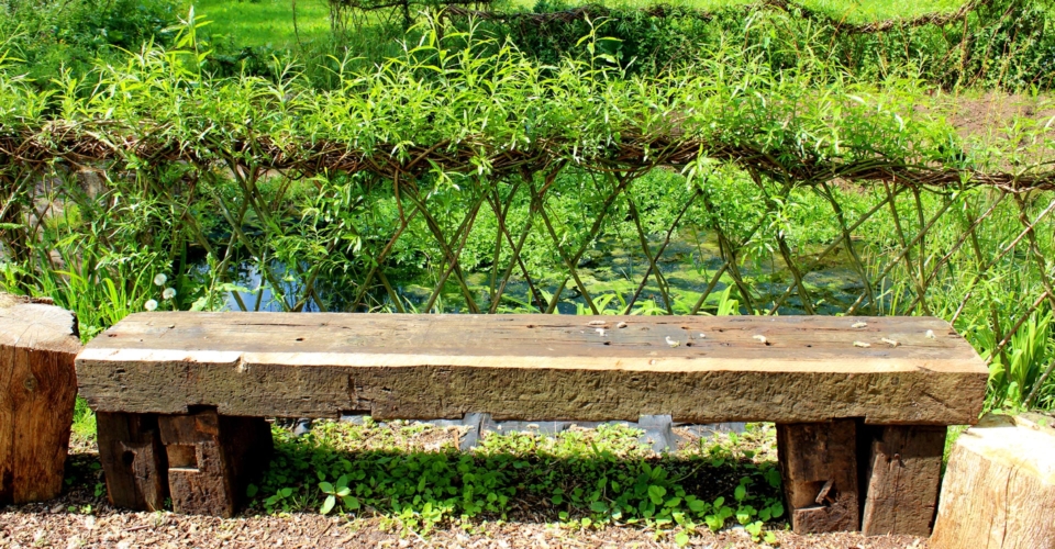 Hecken sind lebendige Zäune: Die richtigen Sorten für den Bio-Garten