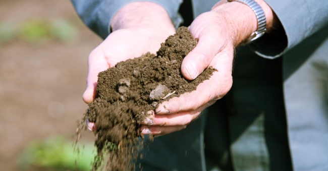 Jemand hält Erde in seinen Händen.