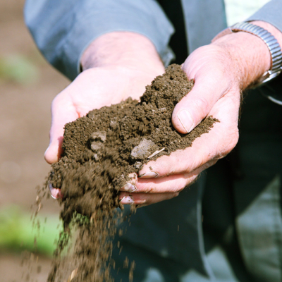 Erde in einer Hand.