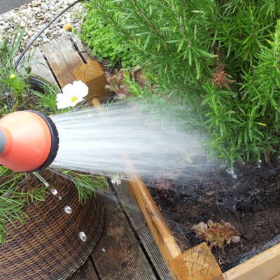 Jemand gießt sein Beet.