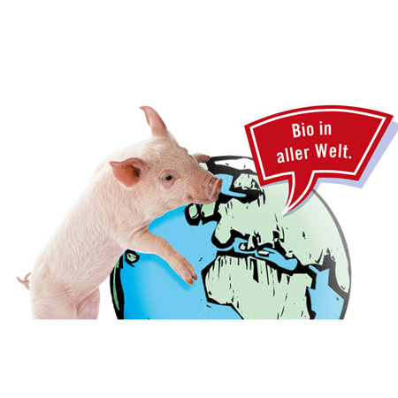 Ein Schweinderl mit einer Grafik der Erde.