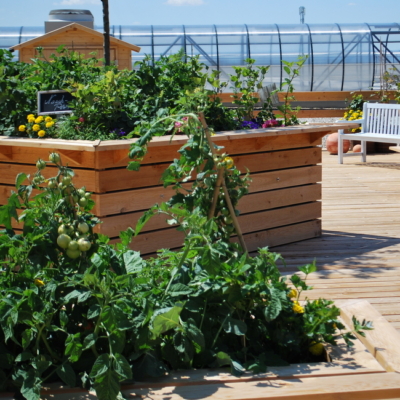 Urban Gardening mit Ja!Natürlich