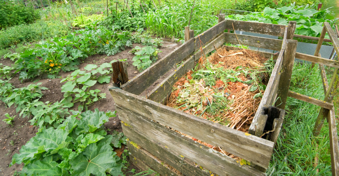 Ein gesunder Boden ist das halbe Gartenleben (wenn nicht das ganze!)