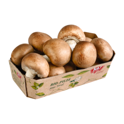 Bio-Cremechampignons