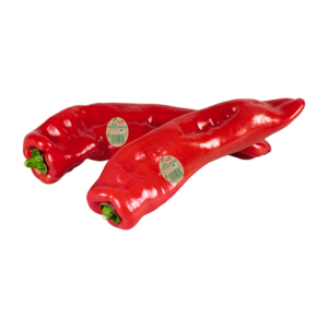 Bio-Spitzpaprika vom Biohof Geinberg