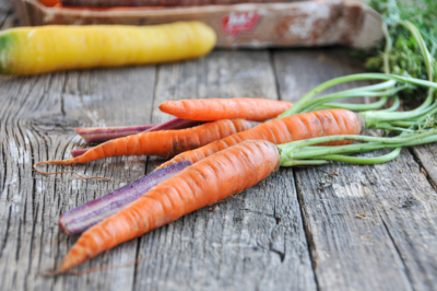 Bio-Karotten auf einem Tisch.