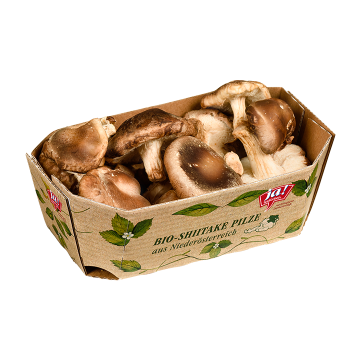 BioShiitake Pilze Ja! Natürlich
