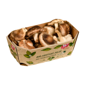 Bio-Shiitake Pilze