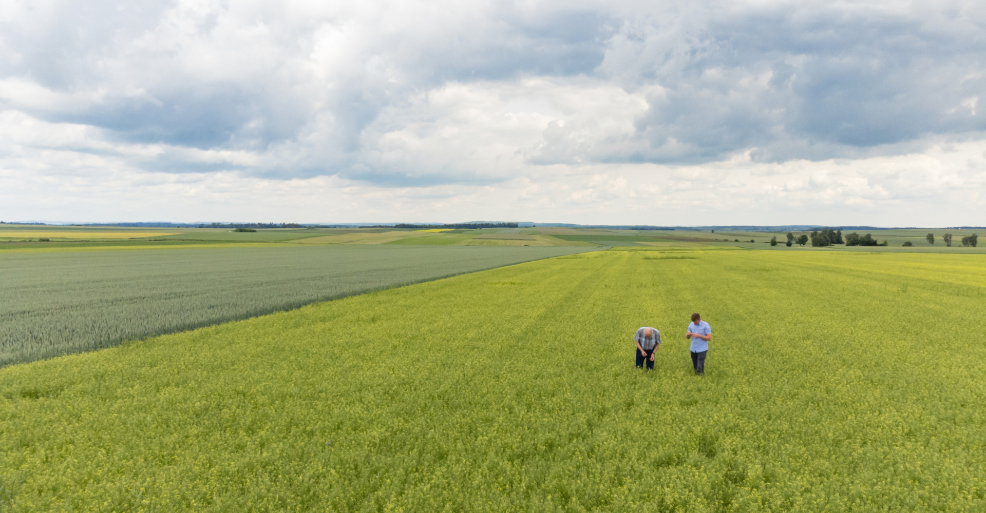 Martin Bayer Leindotteröl