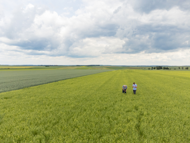 Martin Bayer Leindotteröl