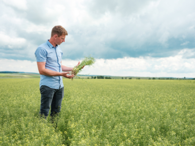 Martin Bayer Leindotteröl